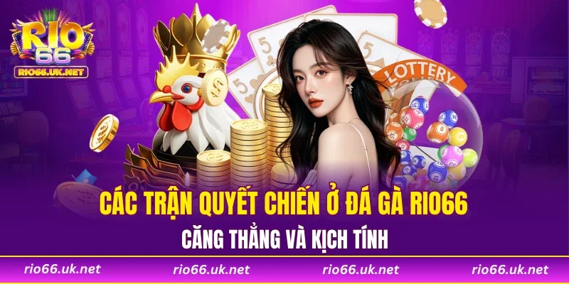 Các trận quyết chiến ở Đá gà RIO66 căng thẳng và kịch tính