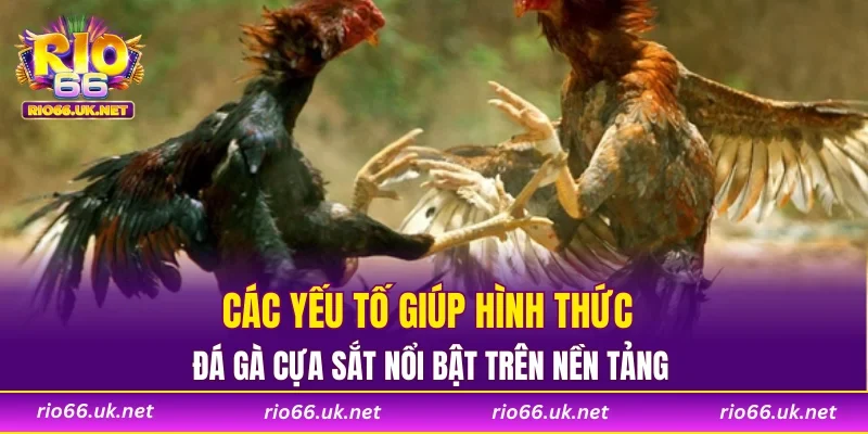 Các yếu tố giúp hình thức đá gà cựa sắt nổi bật trên nền tảng