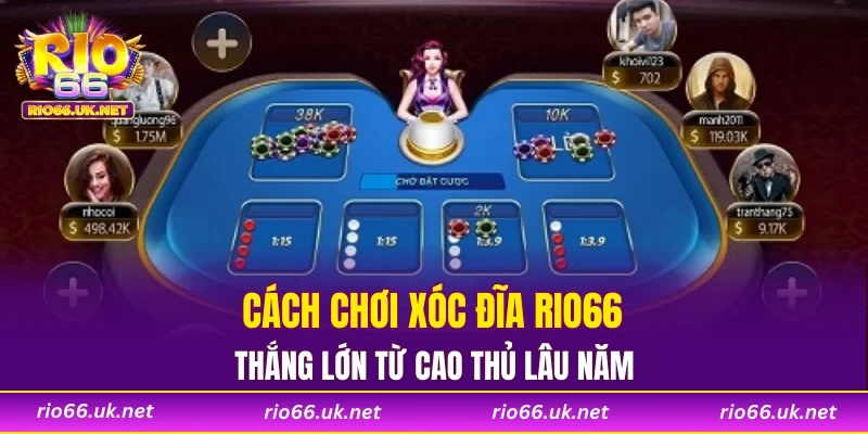 Cách chơi xóc đĩa RIO66 thắng lớn từ cao thủ lâu năm