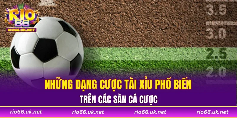 Những dạng cược tài xỉu phổ biến trên các sàn cá cược