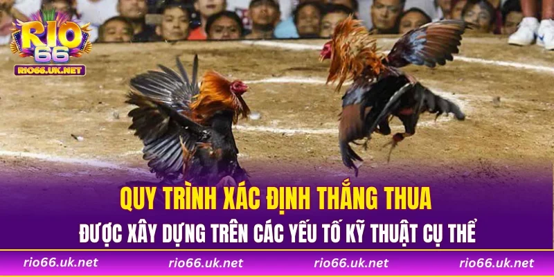 Quy trình xác định thắng thua được xây dựng trên các yếu tố kỹ thuật cụ thể